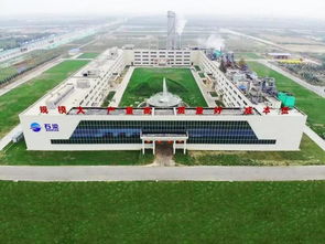石家莊市染料廠新廠開業(yè) 靛藍(lán)生產(chǎn)邁入新時(shí)代，園區(qū)管理服務(wù)水平再升級